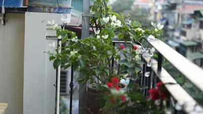 Vietnam Travelers Home 1 with Private Balcony – Photos 9